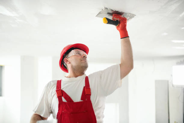 Best Pressure Washing and Painting Preparation  in North Patchogue, NY